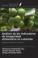 Munsansa Mumbimbi Guy (U. A.) | AnáLisis De Los Indicadores De Inseguridad...