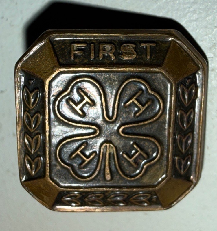 **VINTAGE** (1) 1980’s-1990’s First Year 4-H Bronze Hat Pin 1/2” Pendant Bling