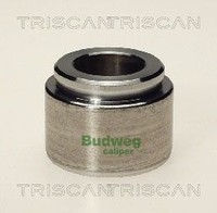 Triscan Kolben, Bremssattel 8170 234003 FüR Alfa Romeo Bmw