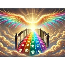 Angel Wings Diamond Art Kits for AdultsRainbow Bridge 5D Diamond Painting Kit...