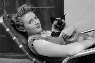 Schauspielerin Mala Powers posiert mit ihrer Katze zu Hause Film 4x6 Foto