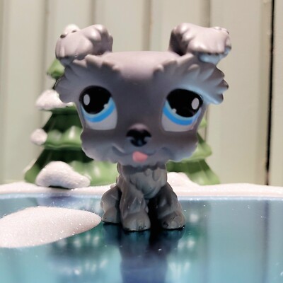 Figurine Littlest Pet Shop - Chien Schnauzer En Velours Gris - Modèle #1006 - Occasion Comme Neuf