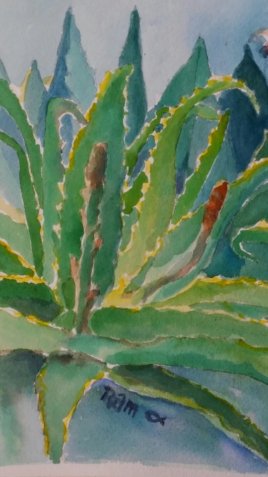 "Кормушка для алоэ" оригинальная акварельная картина ~ RAMfish художник колибри - Изображение 4 из 4