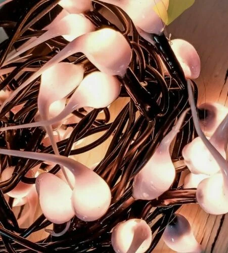 Handmade Corded String & Fairy Lights