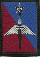 INSIGNE TISSU, PATCH MILITAIRE DU COMMANDEMENT DES ACTIONS SPECIALES TERRE