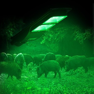 Solar Green Motion Activated Lights for Hunting, Deer & Hog Feeder Accessories
