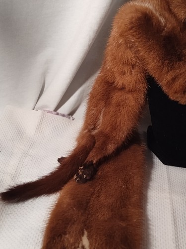 Vintage 5 Full Bodies Mink Fur Shoulder Wrap Stole - Picture 10 of 22