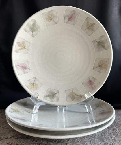 Juego de 3 Platos de Cena Mikasa Woodland - Piedra de Hierro 11 1/4" CW407 ¡ENVÍO GRATUITO! - Imagen 1 de 4