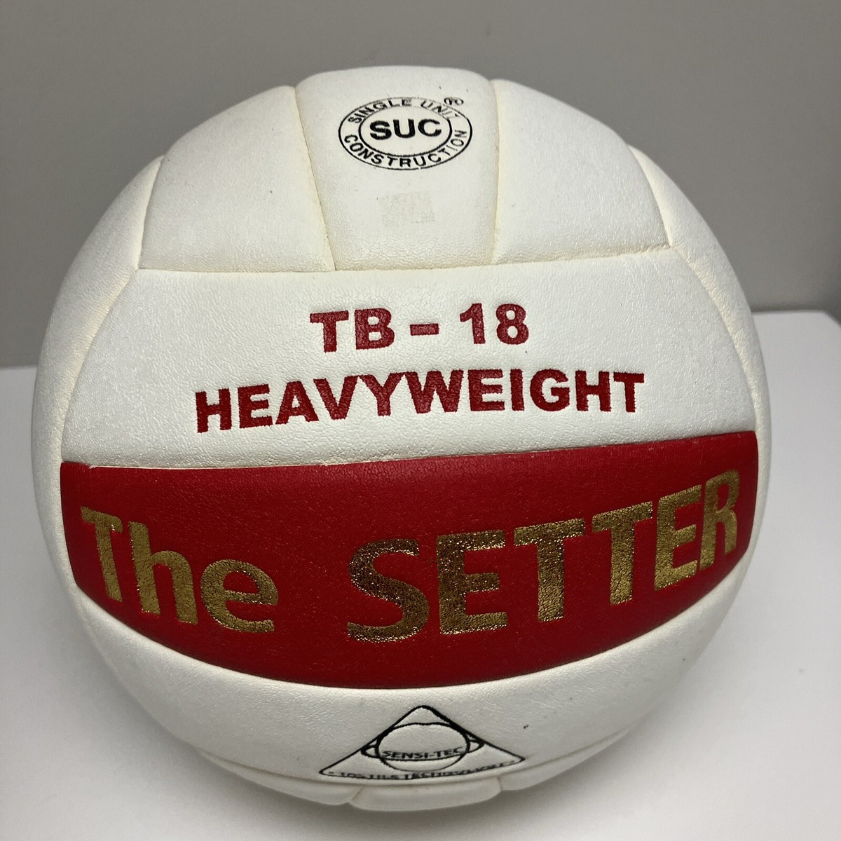 【希少】TACHIKARA heavy weight training ball TACHIKARA Basketball Synthetic Leather TRAINING BALL HEAVY