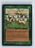 JOVEN'S FERRETS – MTG Magic the Gathering Card – Homelands – Common