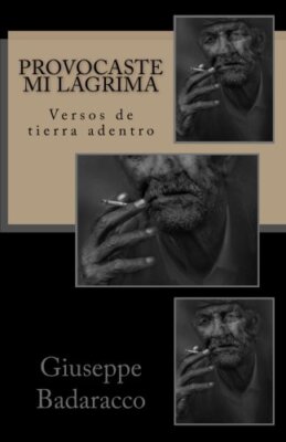 Provocaste mi lAgrima: Versos de tierra adentro 9781543062755 Free Shipping-,