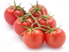 50 Seeds Campari Tomato Vegetable Tomatoes USA SELLER