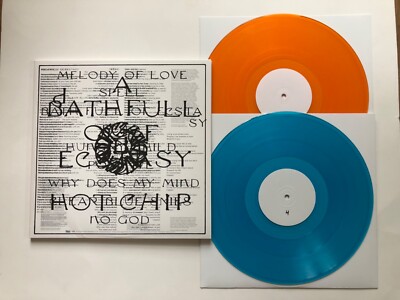 Hot Chip - A Bathfull of Ecstasy 2LP Autographed