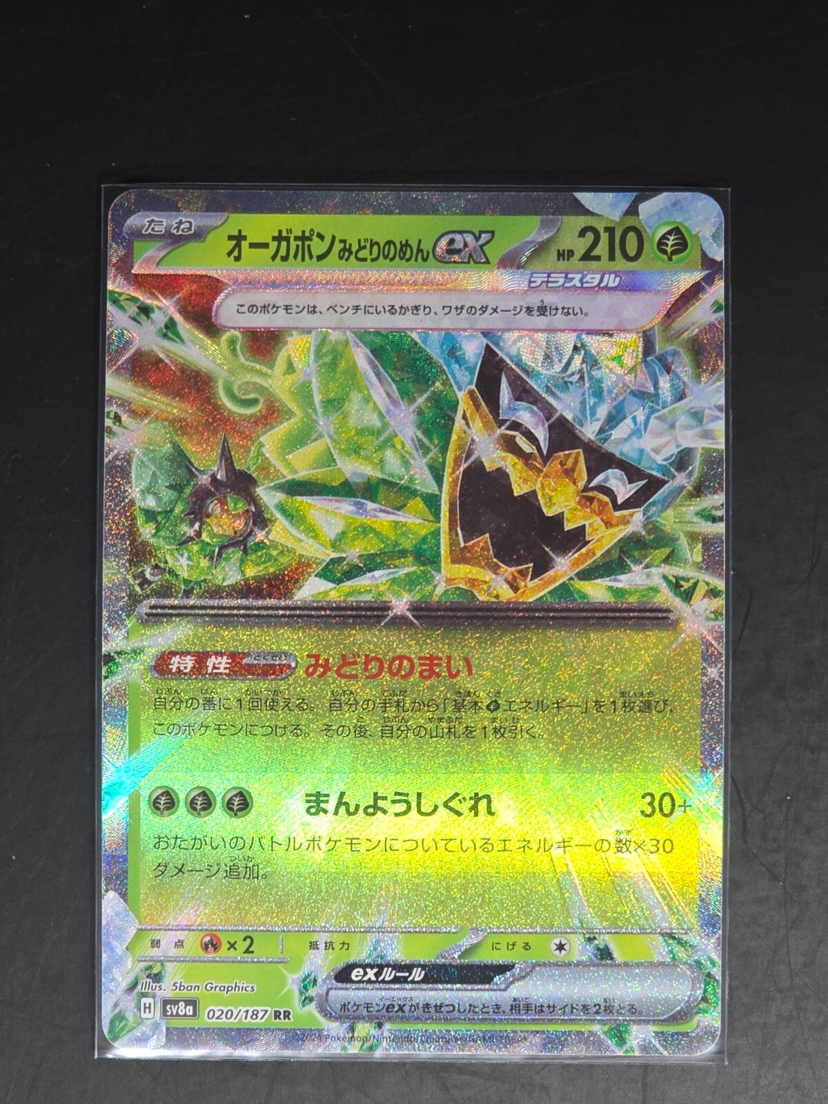 Teal Mask Ogerpon EX 20/187 Terastal Festival Japanese Pokemon TCG NM/M