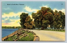 Vintage Linen Postcard Road to South Hero Vermont Tichnor Bros.