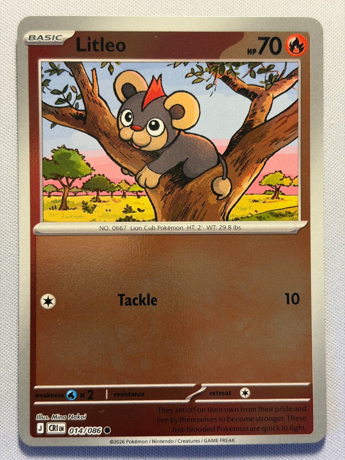 2026 POKEMON LITLEO ME04: CHAOS RISING 14/086 REVERSE HOLO NEAR MINT!!