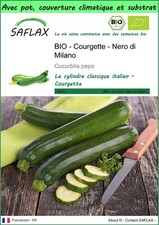 SAFLAX - Garden to go - BIO - Courgette - Nero di Milano - 6 Graines
