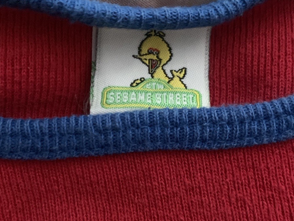 Vtg 90's Sesame Street t-shirt w/ Big Bird, Elmo, Zoey, Cookie