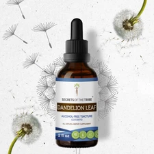 Secrets Of The Tribe Dandelion Leaf Tincture Alcohol-FREE