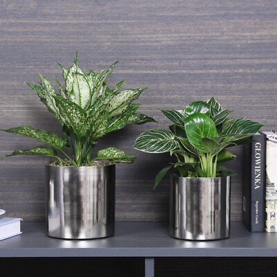 Silver Metal Plant Pot Flower Vase, Decorative Table Planter Container, Set  of 2 | eBay