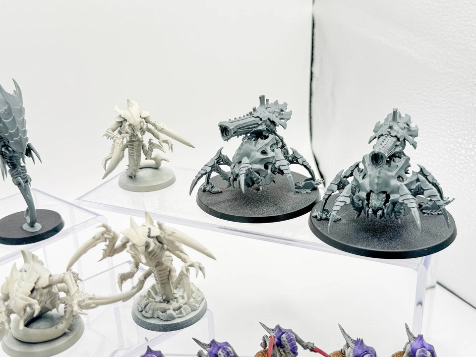 Biovores + Hormagaunts + Ravener Brood + Venomthropes + Zoanthropes Tyranids Foto 3 de 4