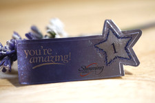 Genuine Slimming World Award Stickers - Consultant Stock - Fast Post