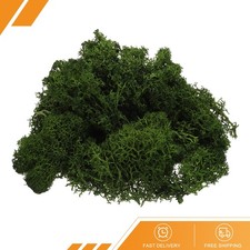 Preserved Reindeer Moss 4oz Fake Moss for Crafts Dark Green