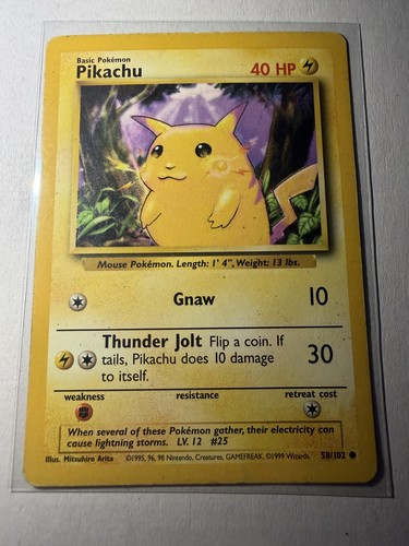 Pikachu (27)