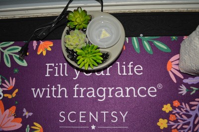Scentsy Warmers NIB Free Shipping Included