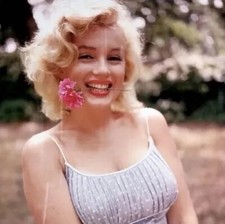 1957 Marilyn Monroe Original Photo Sam Shaw Stamped Roxbury Connecticut Flower