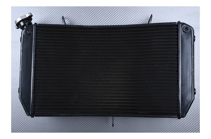 Radiateur de refroidissement eau en aluminium premium pour YAMAHA FZ-1N