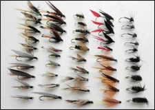 Wet Trout Flies, 50 per Pack, All named Varieties, for fly fishing, SF3C