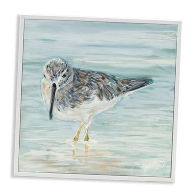  Nautical Sandpiper Shallow Beach Waters Traditional 17L'' x 17W'' White Framed