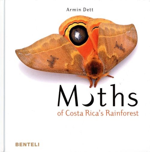 Moths of Costa Rica's Rainforest