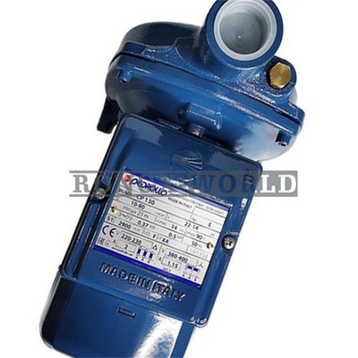 ONE NEW PEDROLLO CP130 water pump