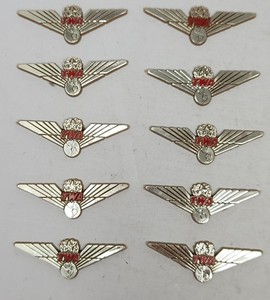 Vintage Trans World Airlines Junior Wings 2.25" Plastic No Pin TWA Globe Design