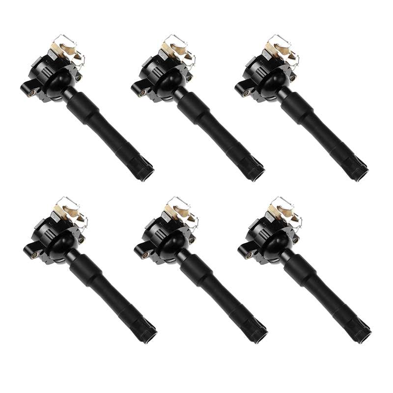 6 x Ignition Coils for BMW 3 Series E46 323i 323Ci 323is 1998 - 2000 6 x Ignition Coils for BMW 3 Series E46 323i 323Ci 323is 1998 - 2000