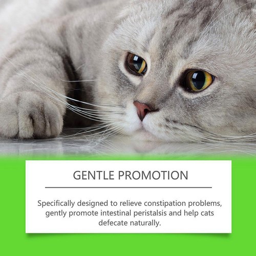 Probiotic drops cats intestinal digestive health constipation relief supple C8M0 - Picture 10 of 24