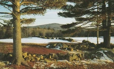 Receding Snow Blueberry Barrens, Maine Chrome souvenir Postcard