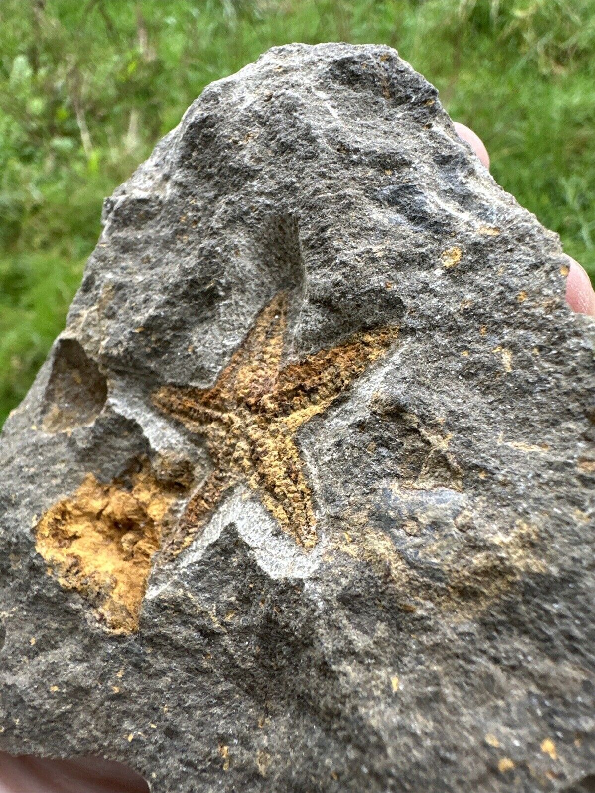 Bild 6 von 12