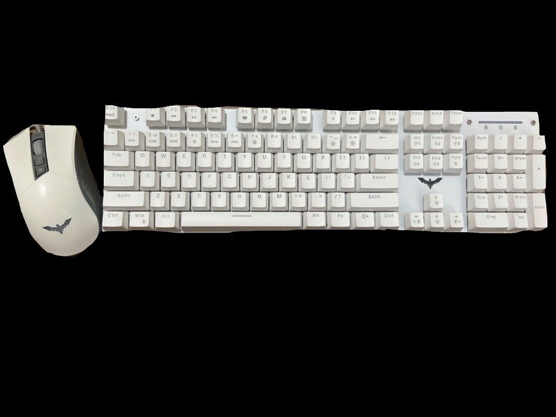 HAVIT KB389L Mechanical Keyboard and Mouse Combo! (White)