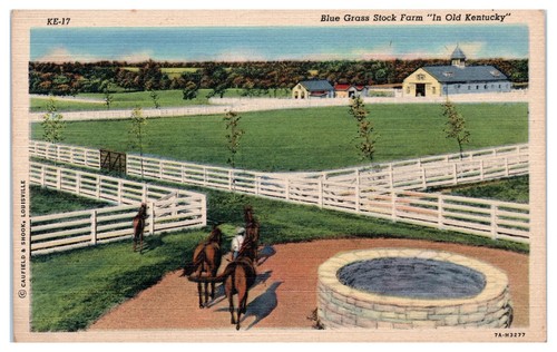 Vintage Linen 12 Postcards Lot - Parks, Falls, Towns, Horses, In old Kentucky - Picture 19 of 24