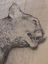VINTAGE signed ( antique? ) by A. Hugh Fisher engraving 