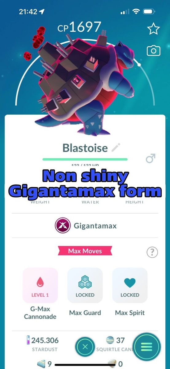 たんたん ポケカセット Non Shiny Blastoise Giga max - Tr-de 20k stardust | eBay