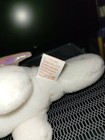 Foto 10 di 12