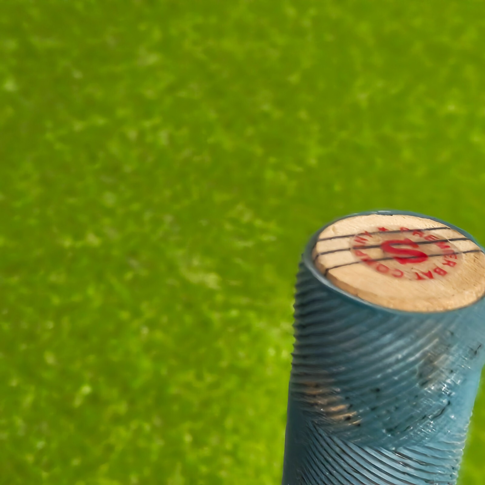 Vintage PR Premier Daffodils Silver English Willow Cricket Bat SH New Old Stock