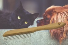 BESENKAMM TIERKAMM FELL KAMM KATZENKAMM HUNDEKAMM ANIMAL PET DOG COMB RAKE TIERE