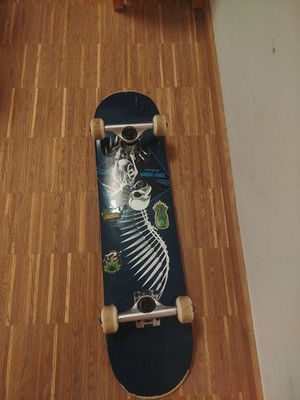 Skateboard Tony Hawk Pro Skater 2