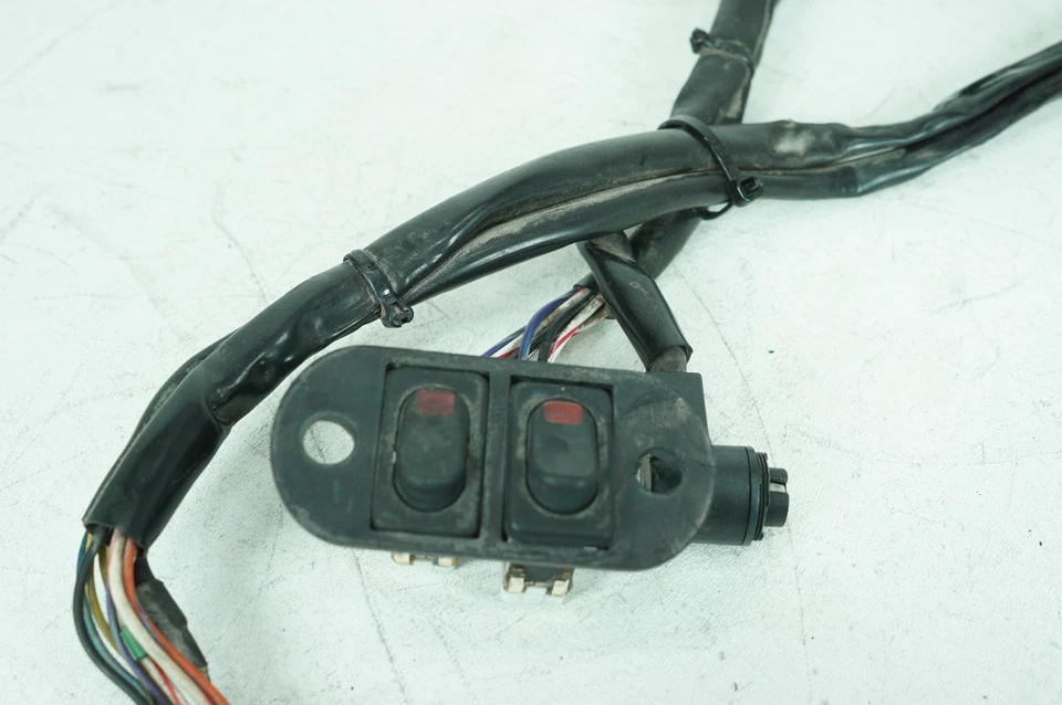 Harley Touring Electra Classic 2001 fabricante de equipos originales carenado interior cableado arnés interruptor Foto 3 de 4