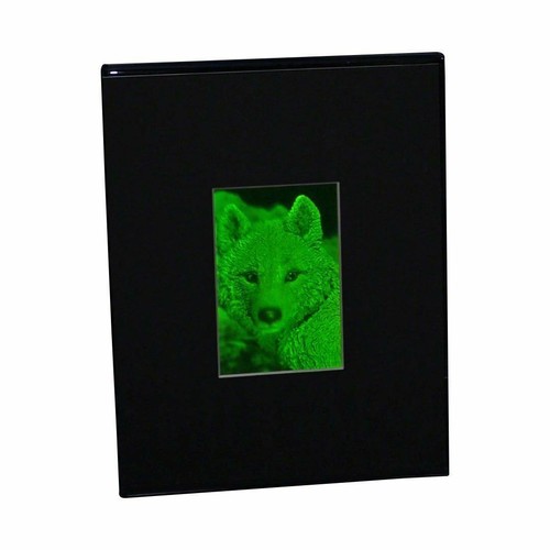 3D Arctic Wolf 2-Channel Hologram Picture (DESK STAND), Collectible Photopolymer - Picture 2 of 7